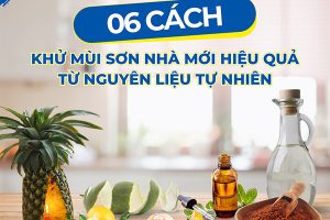 6 cách khử mùi sơn nhà mới hiệu quả từ nguyên liệu tự nhiên