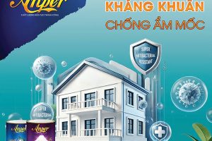 Nên chọn sơn nội thất nào ? 7 tiêu chí cần biết trước khi mua